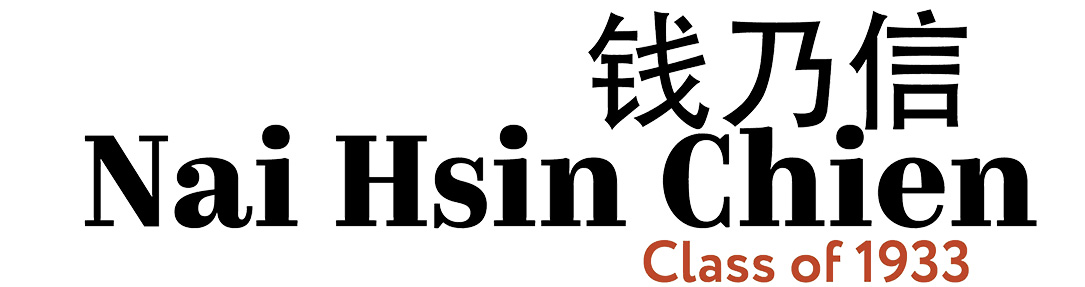 Graphic design of Nai Hsin Chien's name